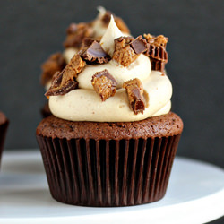 Peanut Butter Cup Cupcakes