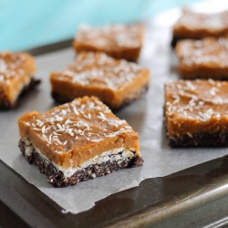 No Bake Chocolate Coco Pumpkin Bars