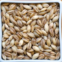 20 Grains to Cook and Eat