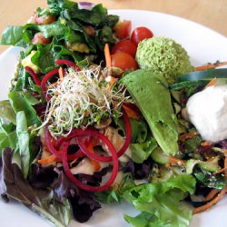 Raw Food Heaven at Blossoming Lotus