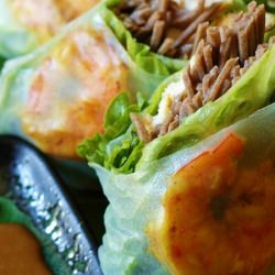 Soba Spring Rolls