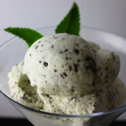 Mint Chocolate Chip Ice Cream