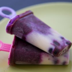 Blueberry Popsicles