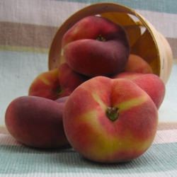 Saturn Peaches… Donut Peaches