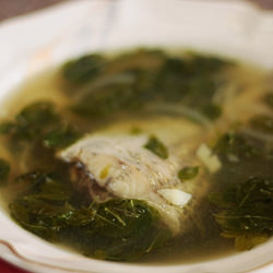 Fish and Malunggay Soup