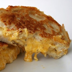 Toasted Cheese Sandwich