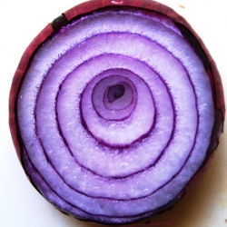 Red Onion