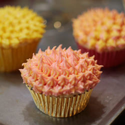 Vanilla Cupcakes