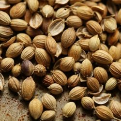 Coriander Seeds