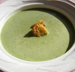 Cream of Spinach Soup