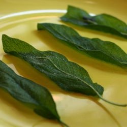 Deep-Fried Sage Leaves