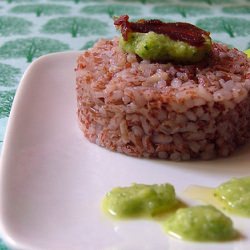 A dish for Terra Madre:red rice