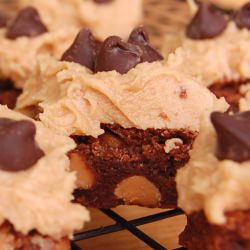 Chocolate Peanut Butter Brownies