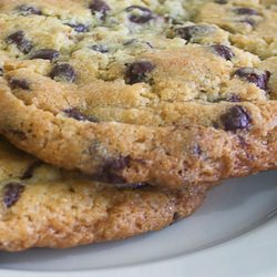 Chocolate Chip Wonders