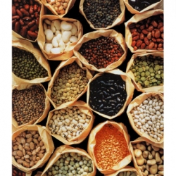 Guide to Lentils, Pulses and Beans