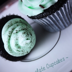 Mint Chocolate Cupcakes