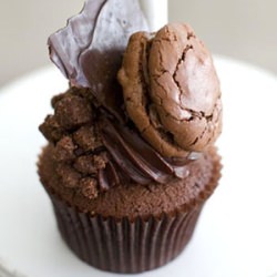 Chocolate Cupcake