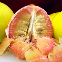 Brian’s Pink Pomelos