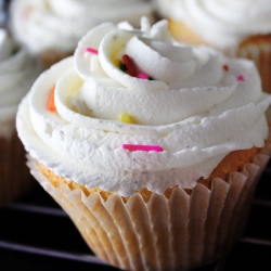 Classic Vanilla Bean Cupcakes