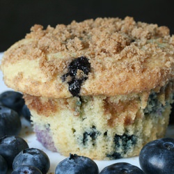 Blueberry Muffin with Streusel Topping