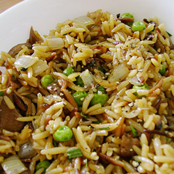 Orzo with Porcini