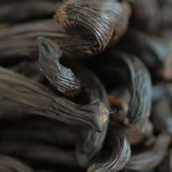 Australian Vanilla Beans