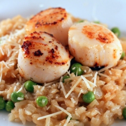 Pan Seared Scallop on Risotto