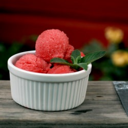 Sugar-Free, Gluten-Free Strawberry Sorbet