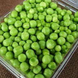 Freshly Picked Peas