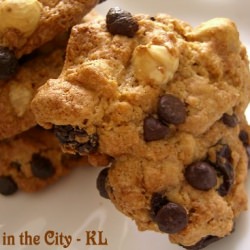 Chocolate & Raisin Oatmeal Cookies