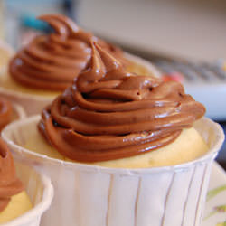 Lemon Cupcakes