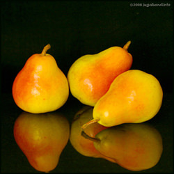 Rosemarie Pears