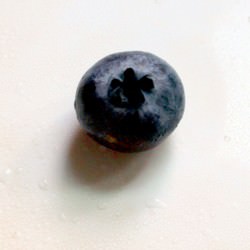 Blueberry