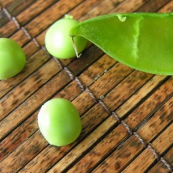 Fresh Peas