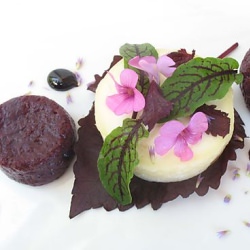 Blueberry Chevre