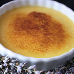 Lavender Creme Brulee