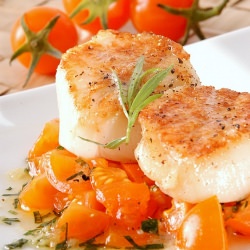 Seared Scallops and Tomatoes