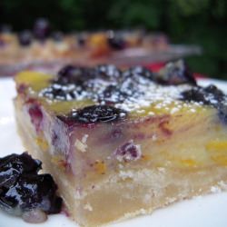 Blueberry-Orange Bars