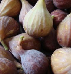 Figs