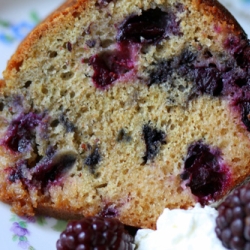 Blueberry Yogurt Cake