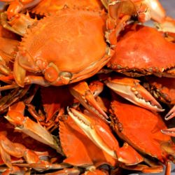 Fresh Blue Crabs