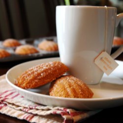 Kumquat Madeleines