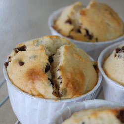 Cinnamon Chocolate Chip Muffins