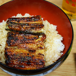 Unagi Donburi