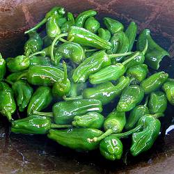 Pimientos de Padron