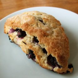 Blueberry Scone