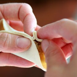 Pan Fried Potstickers