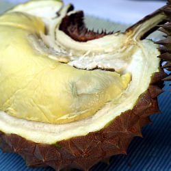 Durian