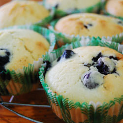 Blueberry Muffins