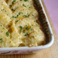 Potato Gratin